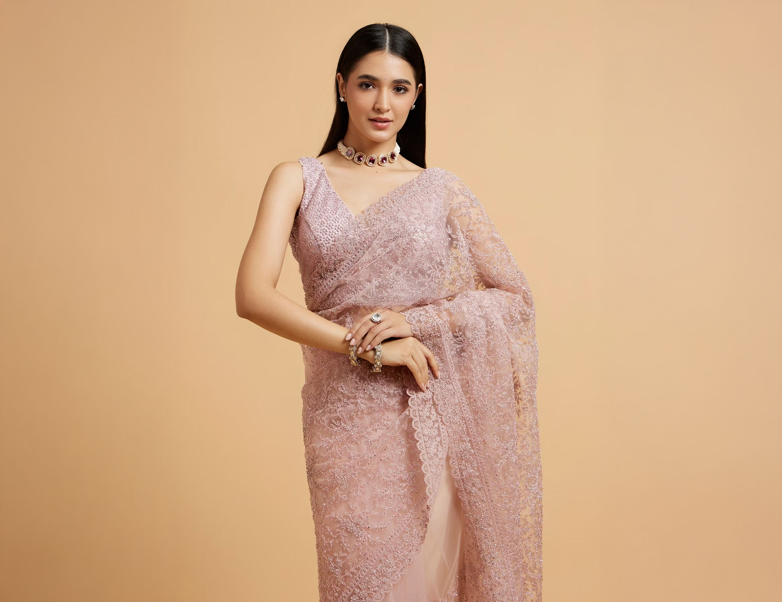 Woman Wearing a Net Saree with V-neck blouse